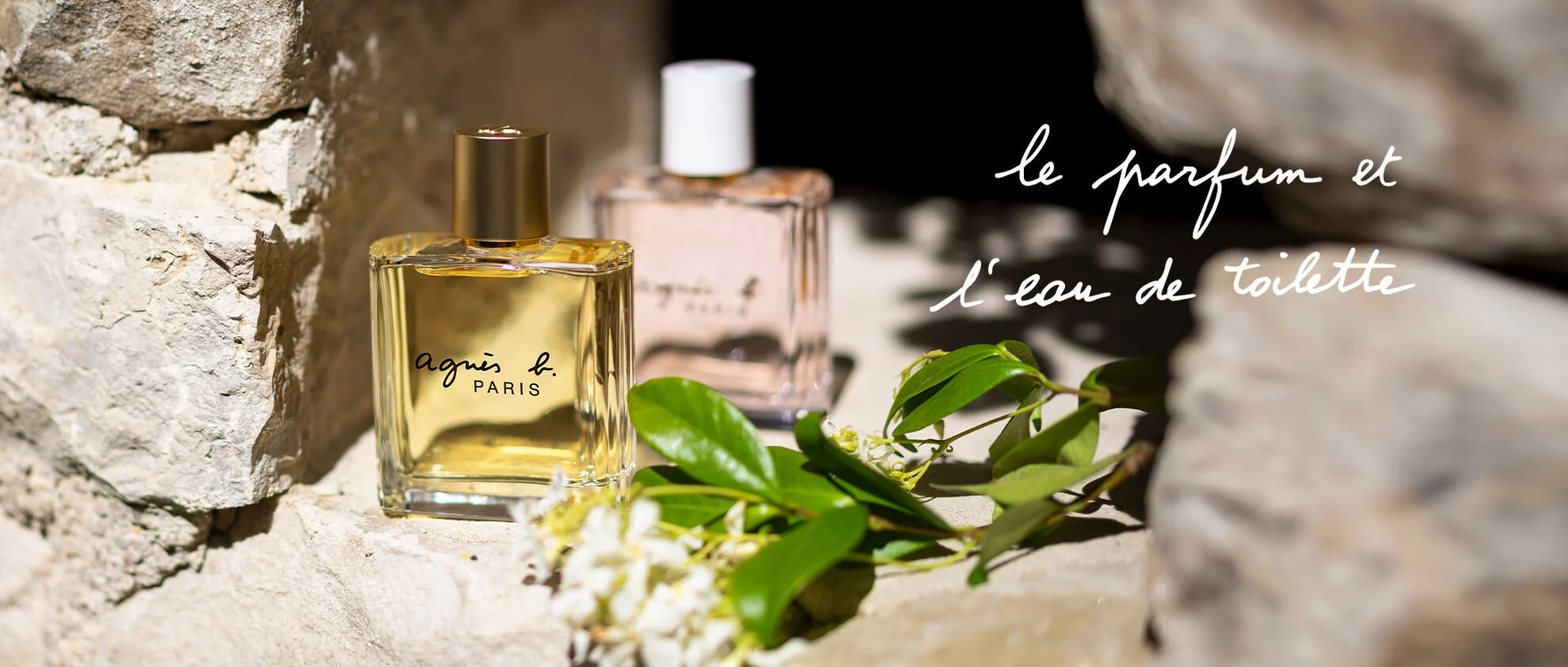 le parfum et l'eau de toilette