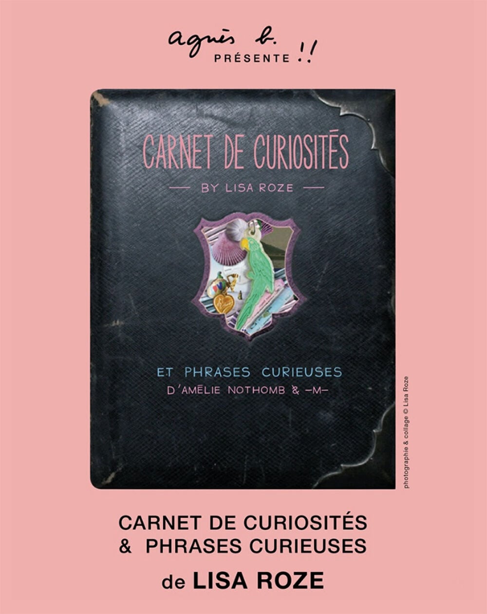Lisa Roze's "Carnet de curiosit&eacute;s & phrases curieuses"