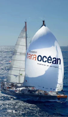 Tara Océan